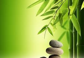 Zen und Shiatsu als ganzheitliche Hilfsmittel für Körper, Geist und Seele