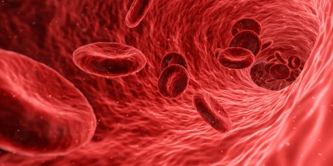 Rote Blutkörperchen im Blutkreislauf starkes Immunsystem gegen Coronavirus
